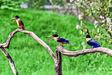 恐怖游戏《Hollowbody》新预告 暂不支持中文