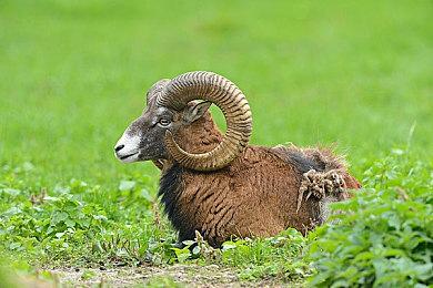 10万人可流畅上网！杭州亚运会主场馆“大莲花”启用黑科技